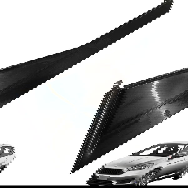 Moldura Externo Porta Traseiro Esquerdo Ford Focus 2002 Preto