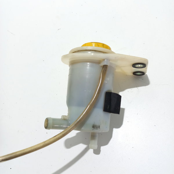 Reservatório Óleo Direção Hidráulica Fiat Siena 2011