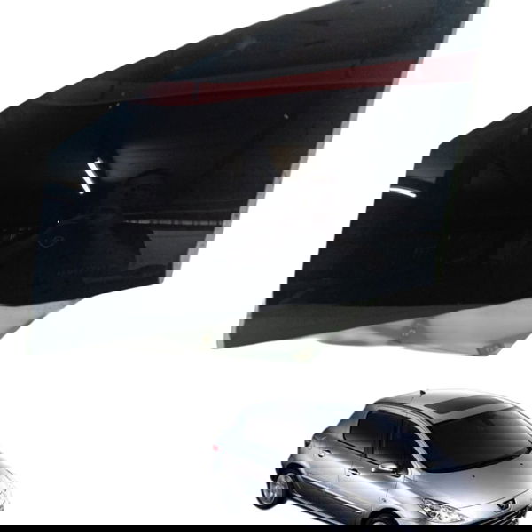 Vidro Porta Traseira Esquerda Peugeot 307 2.0 2008 2009 2010