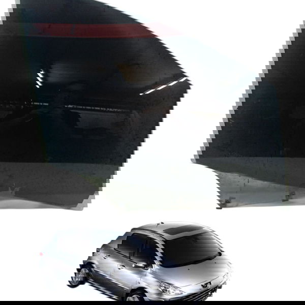 Vidro Porta Dianteira Direita Peugeot 307 2.0 2008 2009 2010