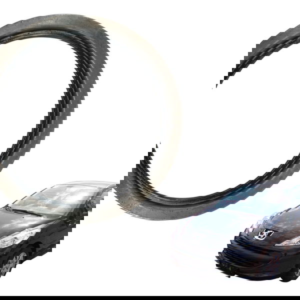 Anel Retentor Vedação Caixa Cambio Al4 Peugeot 207 2011