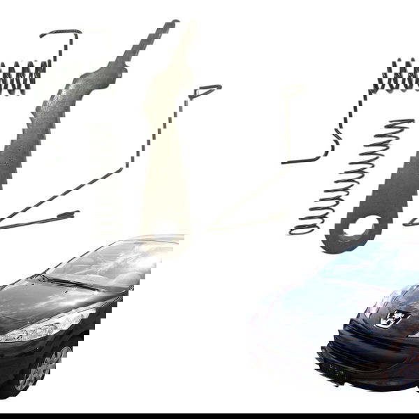 Kit Trava Park Cambio Automatico Al4 Peugeot 207 C4 2.0 2010