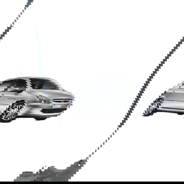 Fechadura Porta Traseira Direita Peugeot 307 2.0 2010 2011