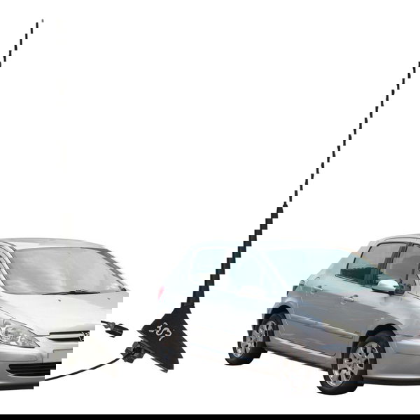 Antena Teto Suporte Peugeot 307 2.0 2008 2009 2010 2011