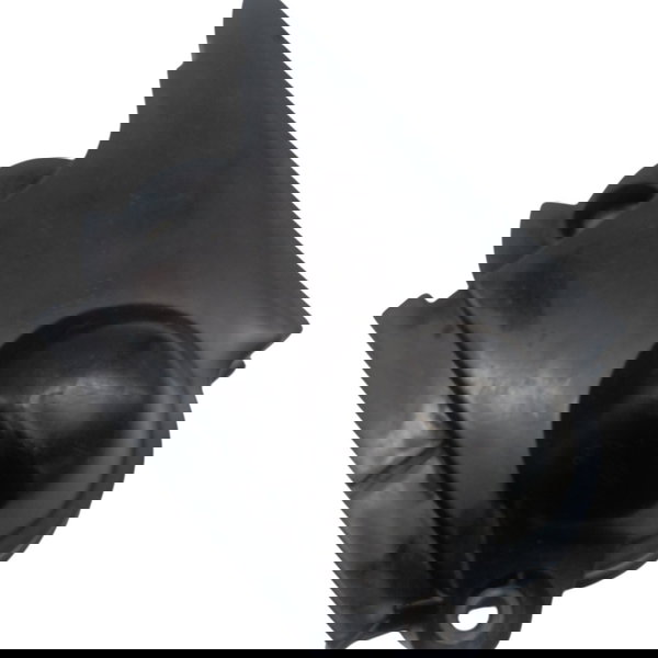 Capa Correia Dentada Superior Renault Kangoo 1.0 2005 2006