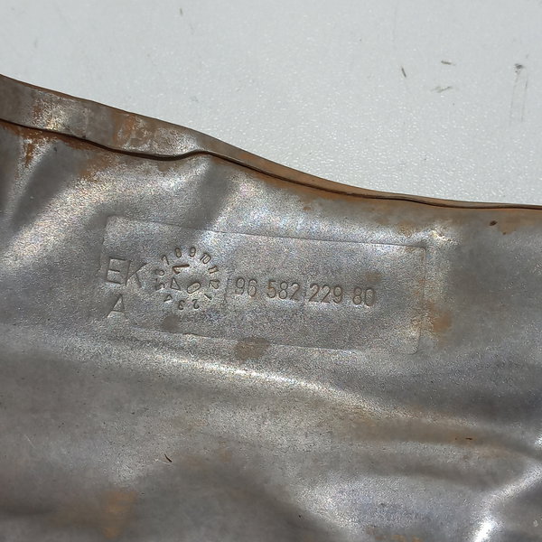 Defletor Bomba Água Citroen C4 Pallas 2008 2.0