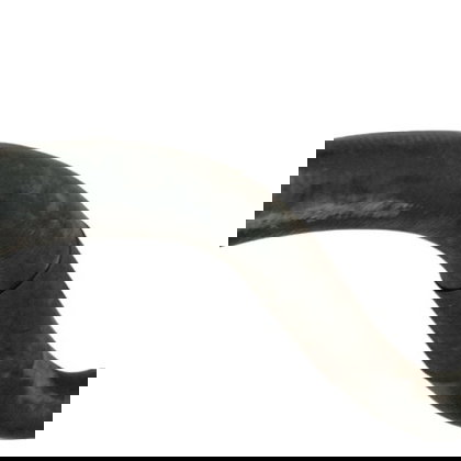 Mangueira Inferior Radiador Volkswagen Golf 1.6 2000 20001