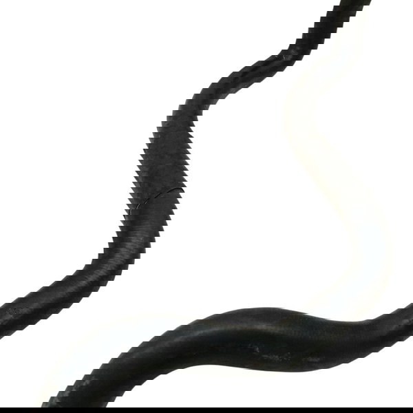 Mangueira Inferior Radiador Volkswagen Golf 1.6 2000 20001