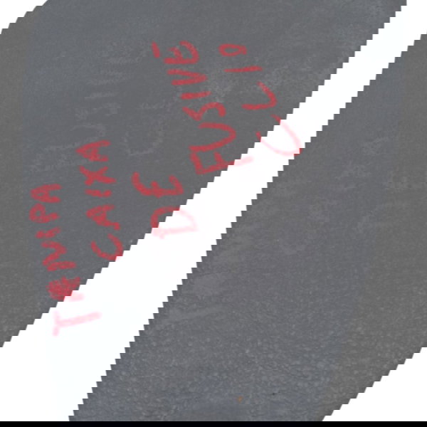 Tampa Caixa Fusível Interna Renault Clio 2004 2005 2006 2007