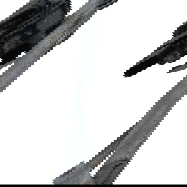 Galhada Motor Limpador Parabrisa Volkswagen Golf 2.0 2001