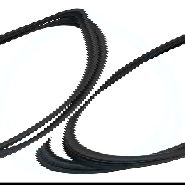 Borracha Vedação Dianteira Direita Fiat Siena 1.0 2008 2009