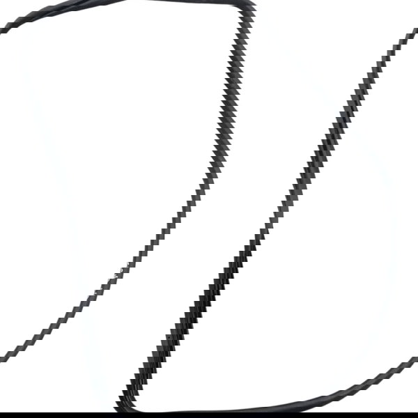 Borracha Vedação Dianteira Direita Fiat Siena 1.0 2008 2009