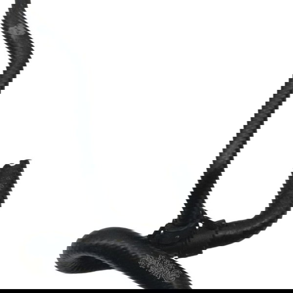 Mangueira Inferior Radiador Fiat Siena Palio 1.0 2008 2009