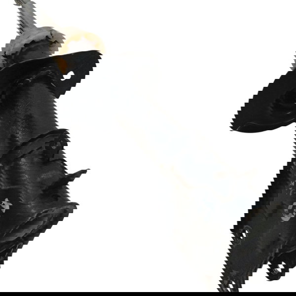 Amortecedor Dianteiro Direito Fiat Siena 2009 2010 2011 2012