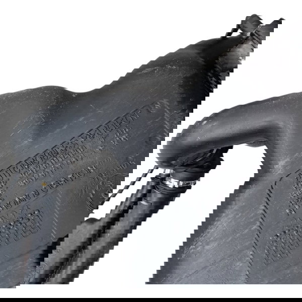 Tanque Combustivel Peugeot 206 1.4 2004 2005 2006 2007