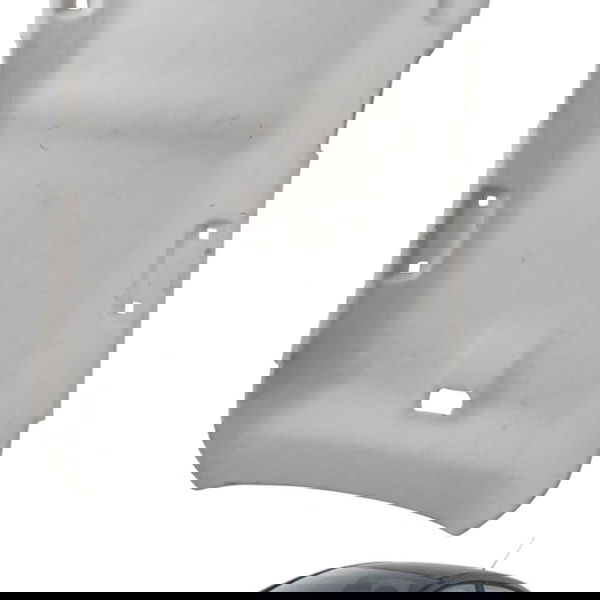 Forro Teto Citroen C4 Glx 1.6 2010 2011 2012 2013 2014 2015