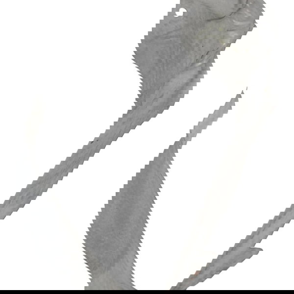 Defletor Calor Coluna Ford Focus 2.0 2014 2015 2016 2017