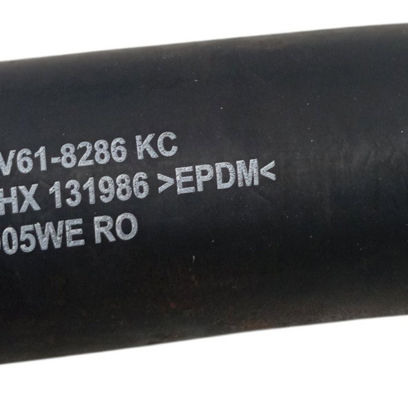 Mangueira Inferior Radiador Focus 2.0 2015 2016 Bv618286