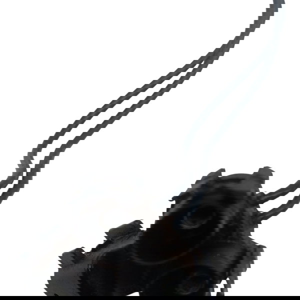 Buzina Caracol Fiamm Ford Focus 2.0 2014 2015 2016 2017