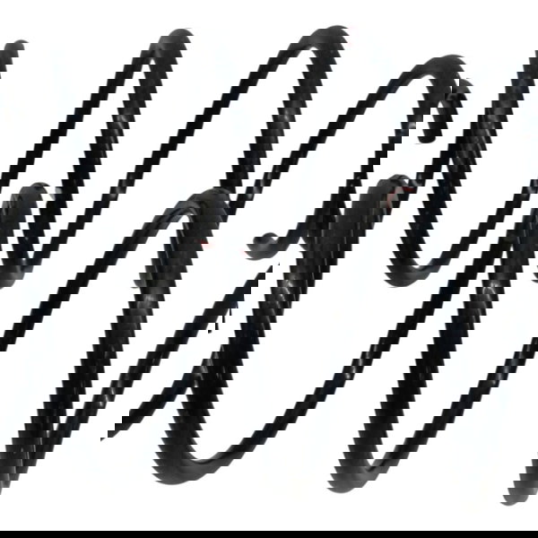 Par Molas Dianteiras Ford Focus 2.0 2014 205 2016 2017