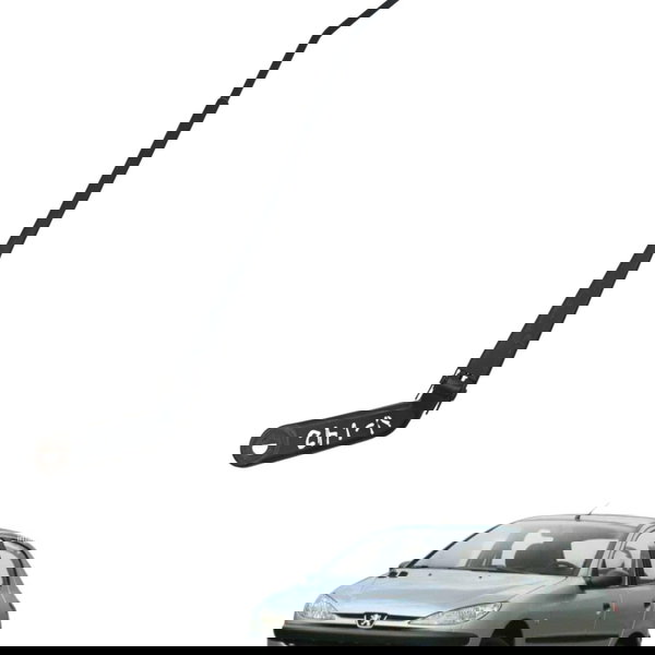 Haste Braço Limpador Parabrisa Direito Peugeot 206 2004 2005 Direito