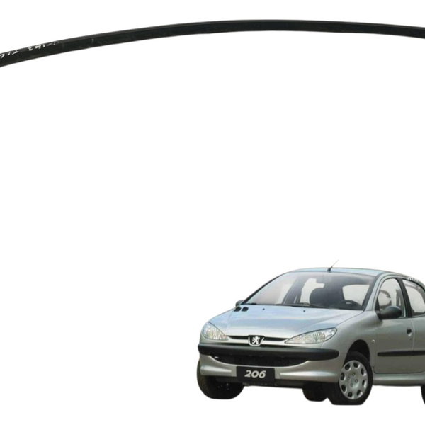 Canaleta Interna Traseira Esquerda Peugeot 206 2004 2005