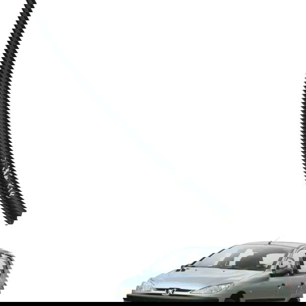 Canaleta Interna Traseira Esquerda Peugeot 206 2004 2005