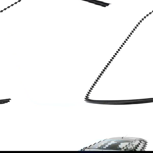 Guarnição Porta Traseira Esquerda Peugeot 206 2004 2005