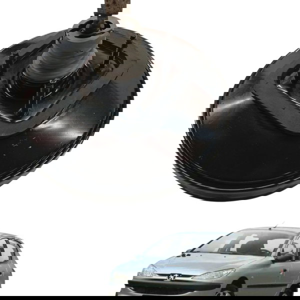 Hidrovacuo Servo Freio Peugeot 206 2004 2005 2006 2007 2008