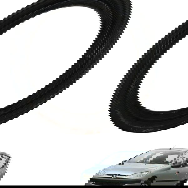 Porca Trava Bomba Combustível Peugout 206 2004 2005 2006