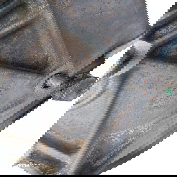 Caixa Cambio Manual Citroen C3 Glx 1.4 8v 2011 2012 2013