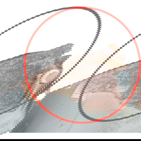 Paralama Dianteiro Direito Citroen C3 Glx 2012 2013 Detalhe