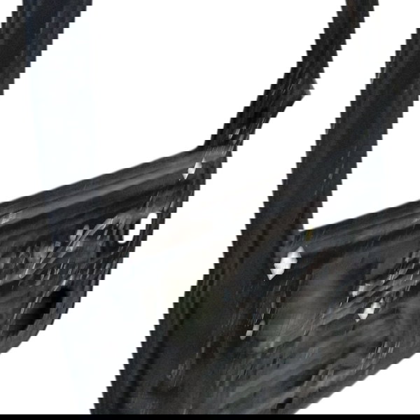 Porta Dianteira Esquerda Renault Clio 2001 2002 2003 Detalhe Dianteira Esquerdo