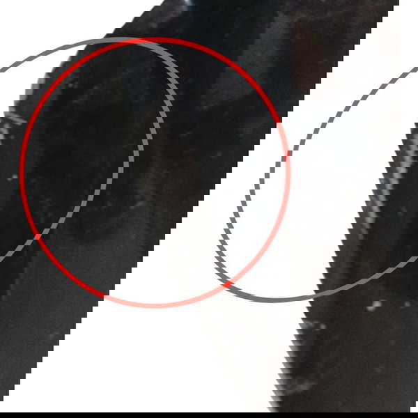 Porta Dianteira Esquerda Renault Clio 2001 2002 2003 Detalhe Dianteira Esquerdo