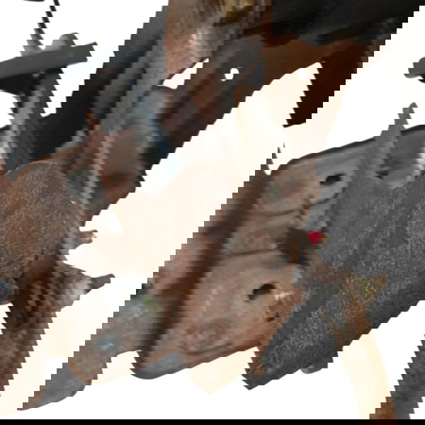 Pedaleira Pedal Freio Embreagem Citroen C4 Glx 2013 Detalhe