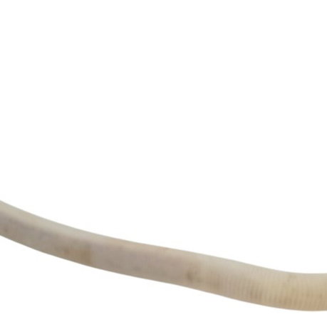 Gargalo Reservatorio Agua Parabrisa Bmw X1 S Drive 2.0 N20 2