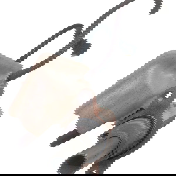 Cilindro Mestre Reservatorio Citroen C4 Glx 2013 2014 2015