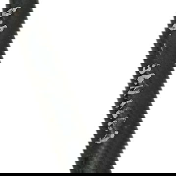 Tirante Suspensão Dianteira Direita Renault Sandero 2010