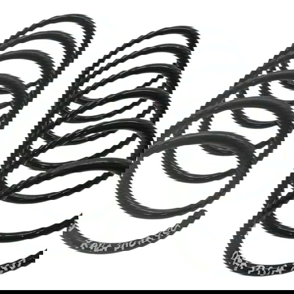 Par Molas Dianteiras Citroen Xsara Picasso 2.0 2008 2009