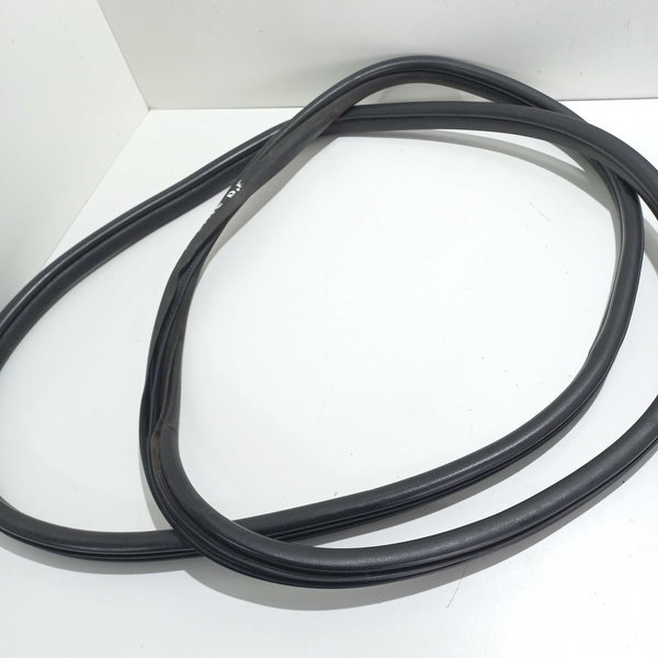 Borracha Porta Dianteira Esquerda Renault Scenic 2003