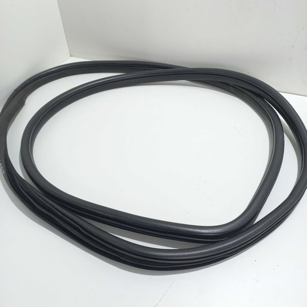 Borracha  Porta Dianteira Direita Renault Scenic 2003