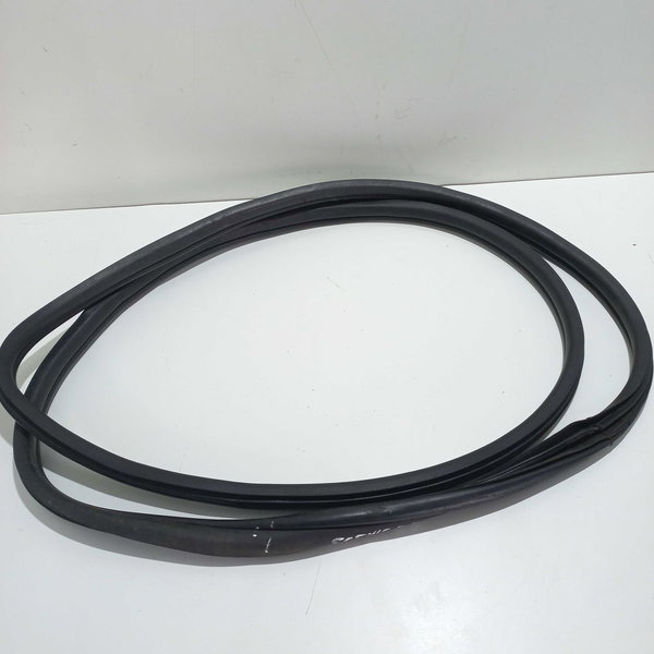 Borracha  Porta Dianteira Direita Renault Scenic 2003