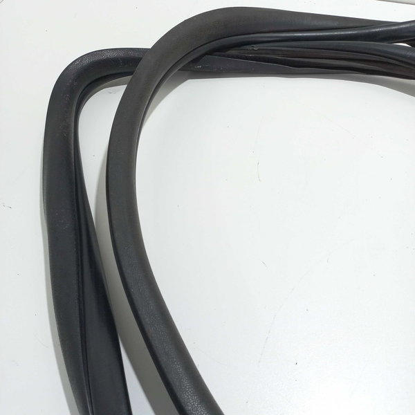 Borracha Vedação Porta Traseira Direita Renault Scenic  Preto Q