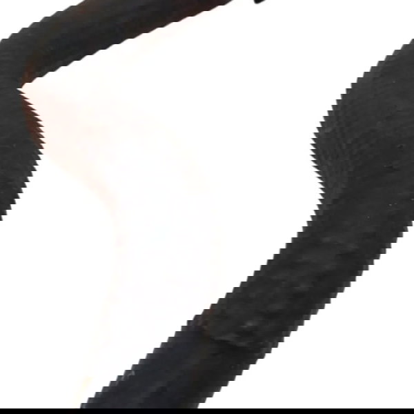 Mangueira Agua Motor Citroen Xsara Picasso 2.0 2008 2009