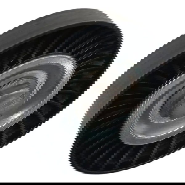 Polia Correia Alternador Citroen Xsara Picasso 2.0 2007 2008