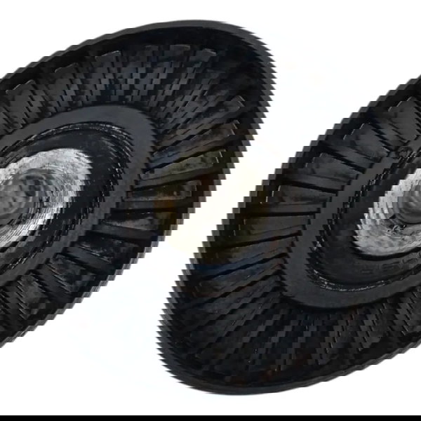 Polia Correia Alternador Citroen Xsara Picasso 2.0 2007 2008