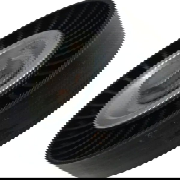 Polia Correia Alternador Citroen Xsara Picasso 2.0 2007 2008