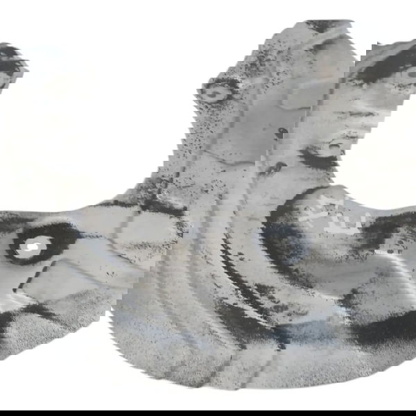 Defletor Disco Freio Traseiro Esquerdo Bmw X1 S Drive  2015