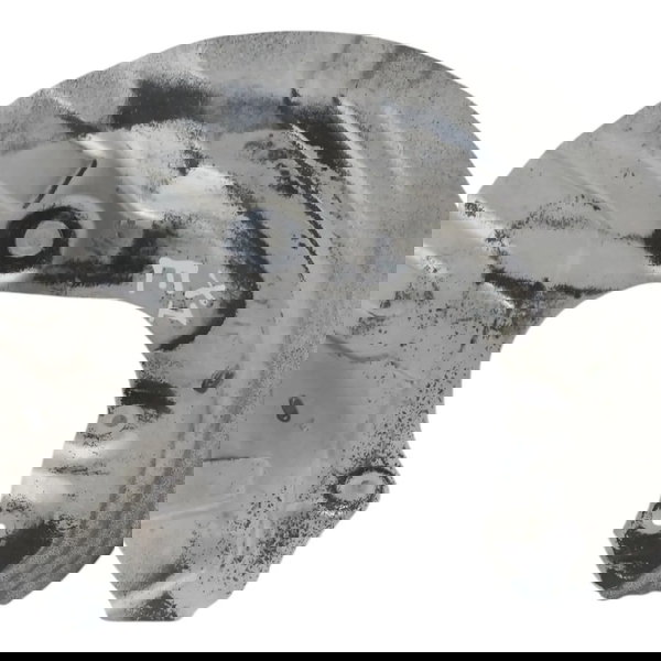 Defletor Disco Freio Traseiro Esquerdo Bmw X1 S Drive  2015