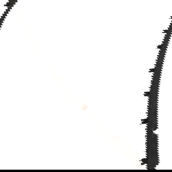 Moldura Aplique Friso Teto Direito Chevrolet Astra 2.0 2008